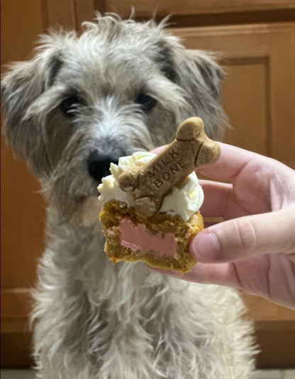 Gender Reveal Pupcakes