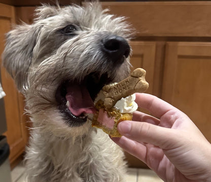 Gender Reveal Pupcakes